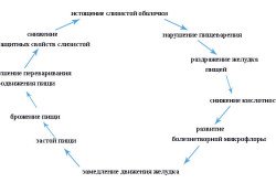 Механизм развития гастрита