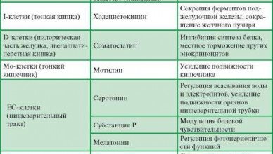 Что такое железы желудка?