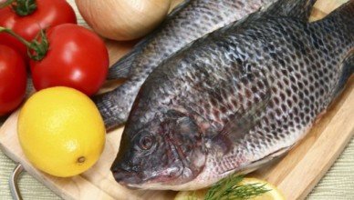 Какую рыбу можно есть при панкреатите поджелудочной железы? Какую рыбу можно есть при панкреатите поджелудочной железы?
