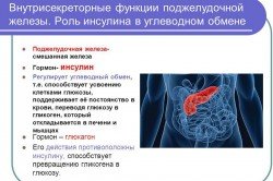 Внутрисекреторные функции поджелудочной железы
